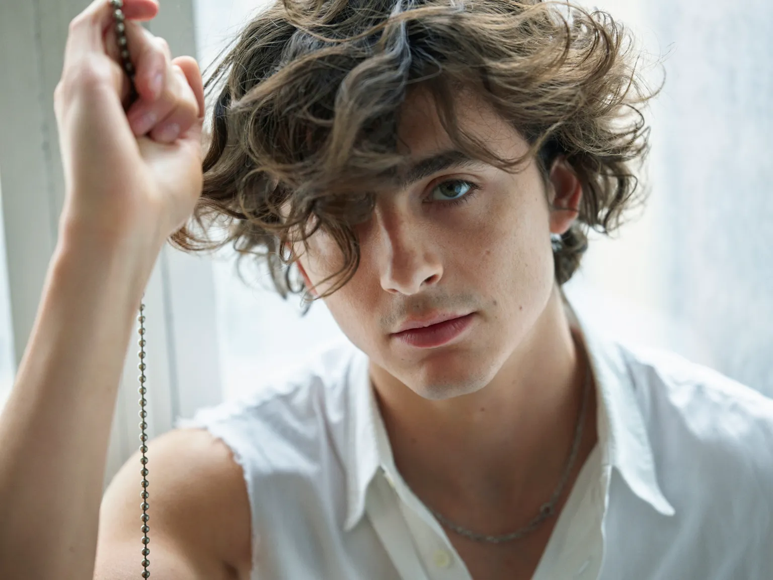 How Tall Is Timothée Chalamet? Find Out Now! - bioinkling