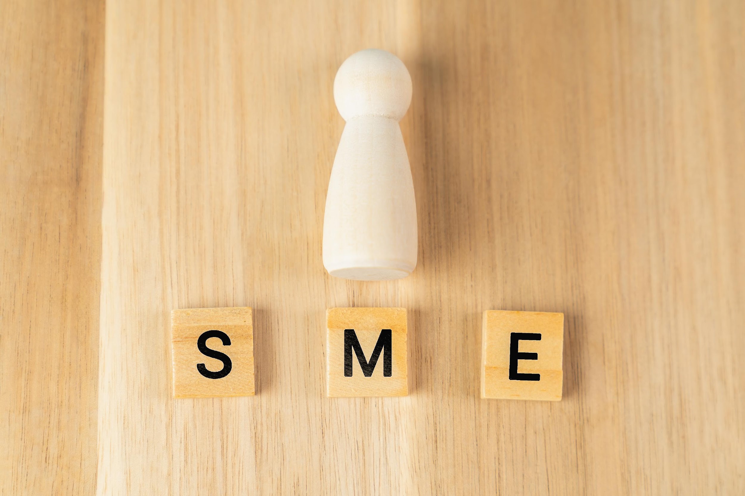 SMES Loans