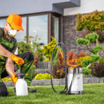What Defines Eco Safe Pest Control Practices For Homes in Orlando