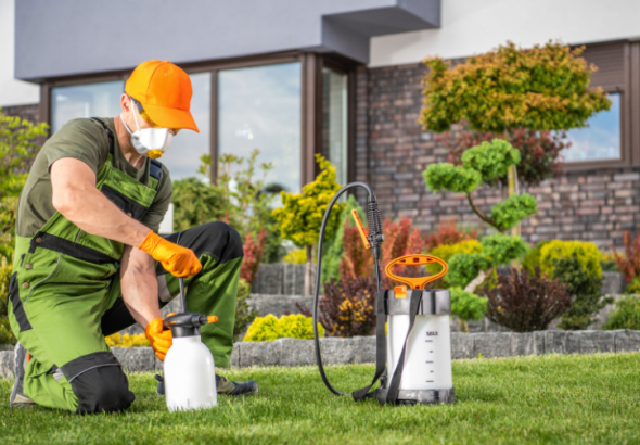 What Defines Eco Safe Pest Control Practices For Homes in Orlando