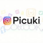 Understanding the Popularity of Story Viewing Tools Like Picuki